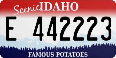 ID license plate E442223