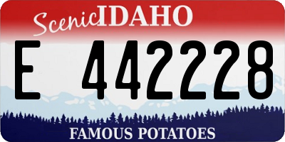 ID license plate E442228