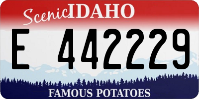 ID license plate E442229