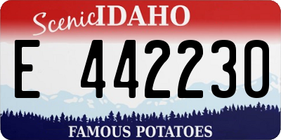 ID license plate E442230