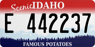 ID license plate E442237