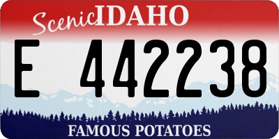 ID license plate E442238