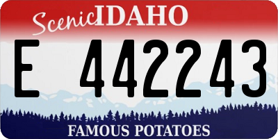 ID license plate E442243