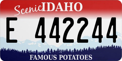 ID license plate E442244