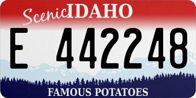 ID license plate E442248