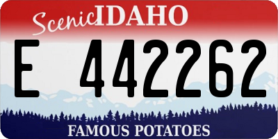 ID license plate E442262