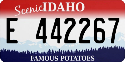 ID license plate E442267