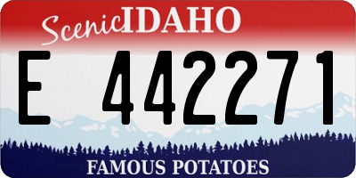ID license plate E442271