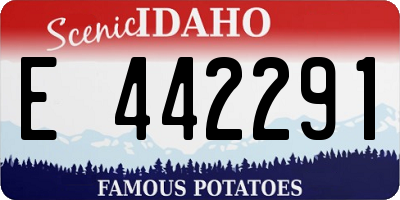 ID license plate E442291
