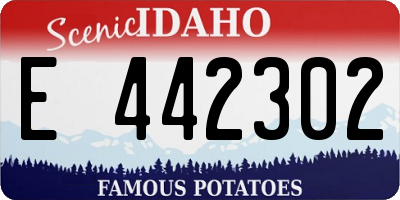 ID license plate E442302