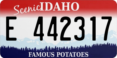 ID license plate E442317