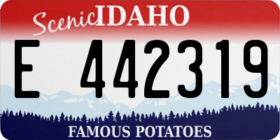 ID license plate E442319