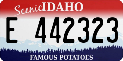 ID license plate E442323