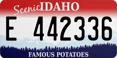ID license plate E442336