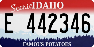 ID license plate E442346