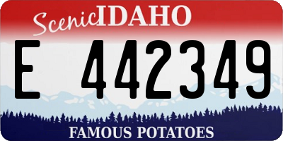 ID license plate E442349