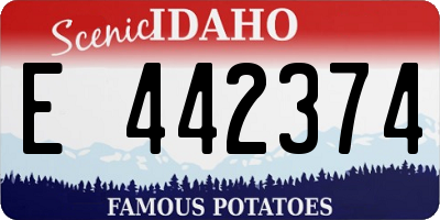 ID license plate E442374