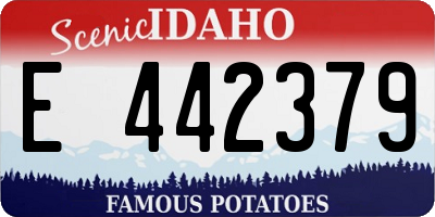 ID license plate E442379