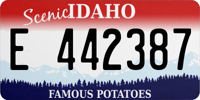 ID license plate E442387