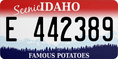 ID license plate E442389