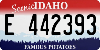 ID license plate E442393
