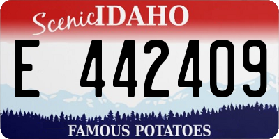 ID license plate E442409