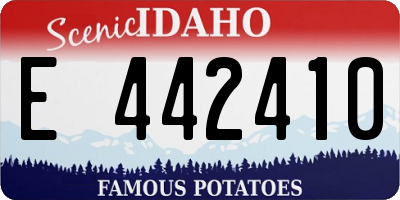 ID license plate E442410