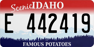 ID license plate E442419