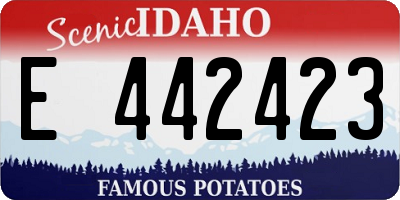 ID license plate E442423