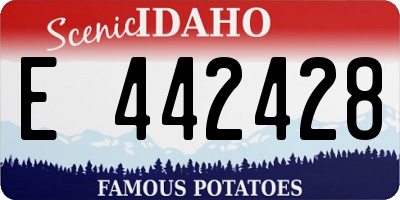ID license plate E442428