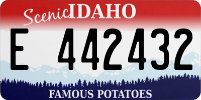 ID license plate E442432