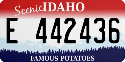 ID license plate E442436