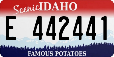 ID license plate E442441
