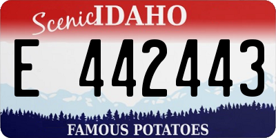 ID license plate E442443