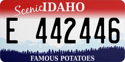 ID license plate E442446