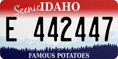ID license plate E442447