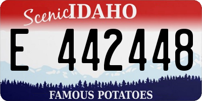 ID license plate E442448