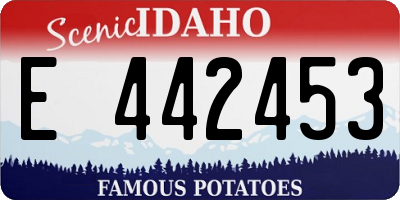 ID license plate E442453