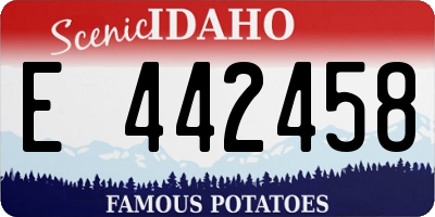 ID license plate E442458
