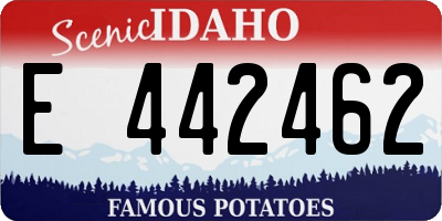 ID license plate E442462