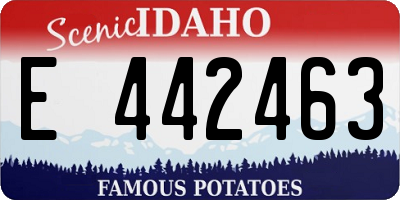 ID license plate E442463