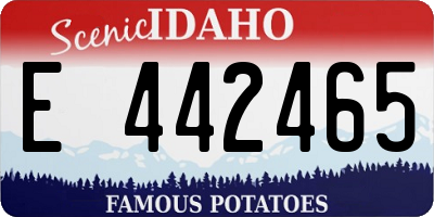 ID license plate E442465