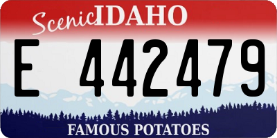 ID license plate E442479