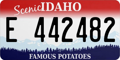 ID license plate E442482