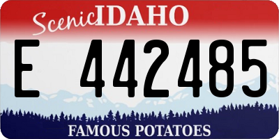 ID license plate E442485