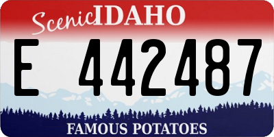 ID license plate E442487