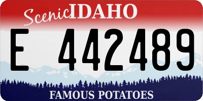 ID license plate E442489