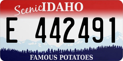 ID license plate E442491