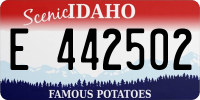 ID license plate E442502