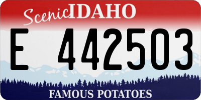 ID license plate E442503